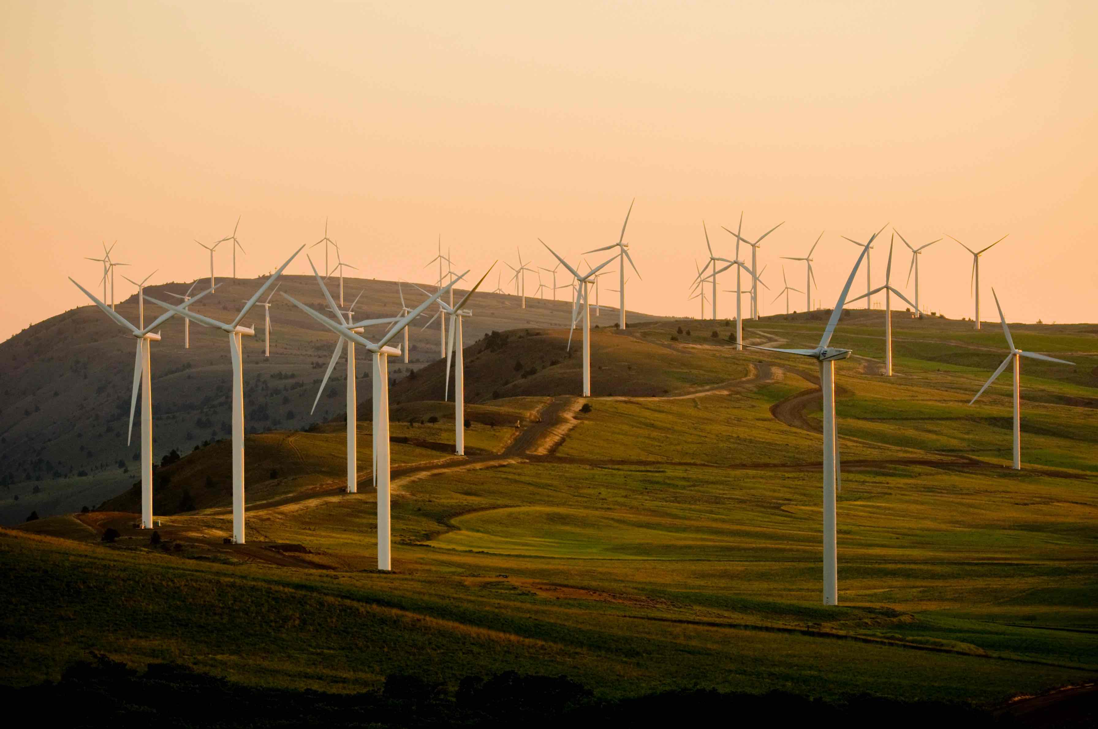 a field of wind turbines at sunset